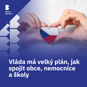 vláda