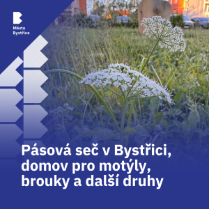 mozaiková seč
